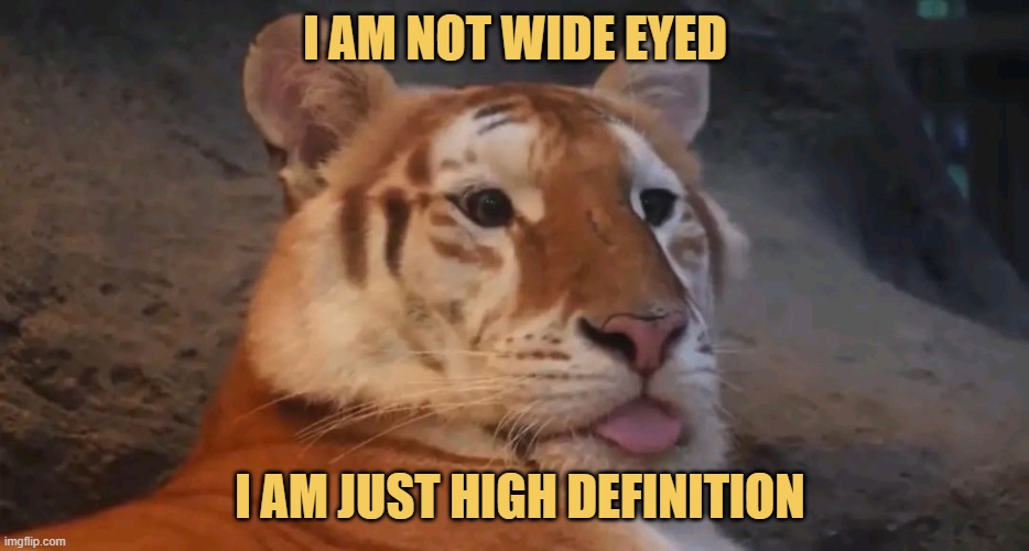 You can't match my level 