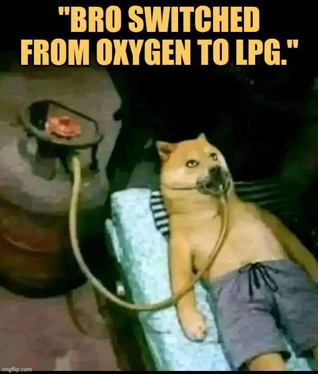 lpg nowdays are expensive like oxygen meme