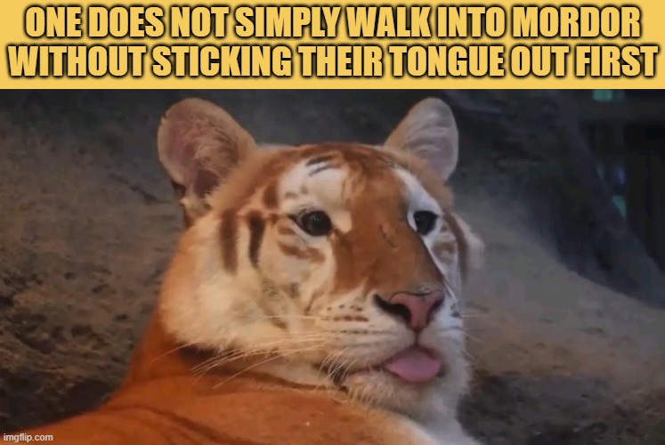 Walk with passion  meme