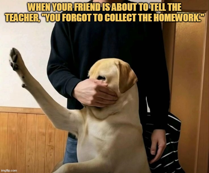 Please dont say this
