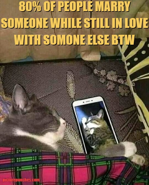 Did you know?