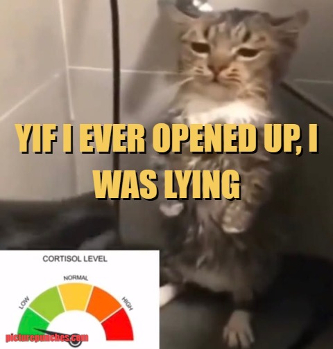 IF* I open up