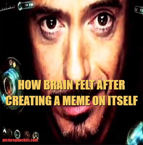 brain is braining at the moment meme