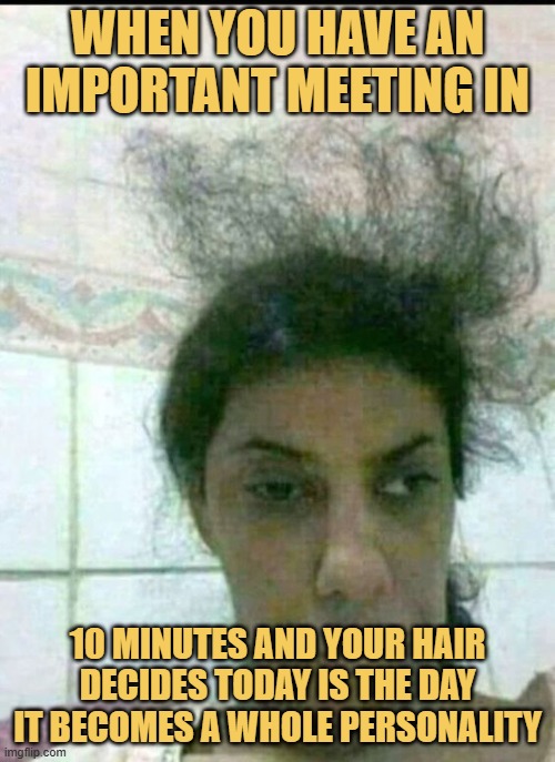 When you have an important meeting in meme