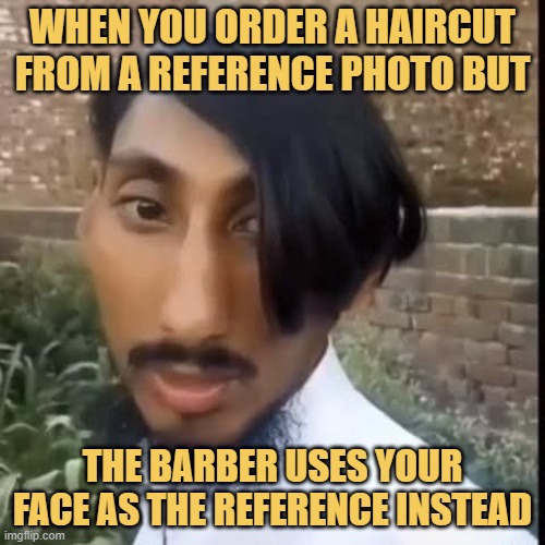 When you order a haircut from a reference photo but.