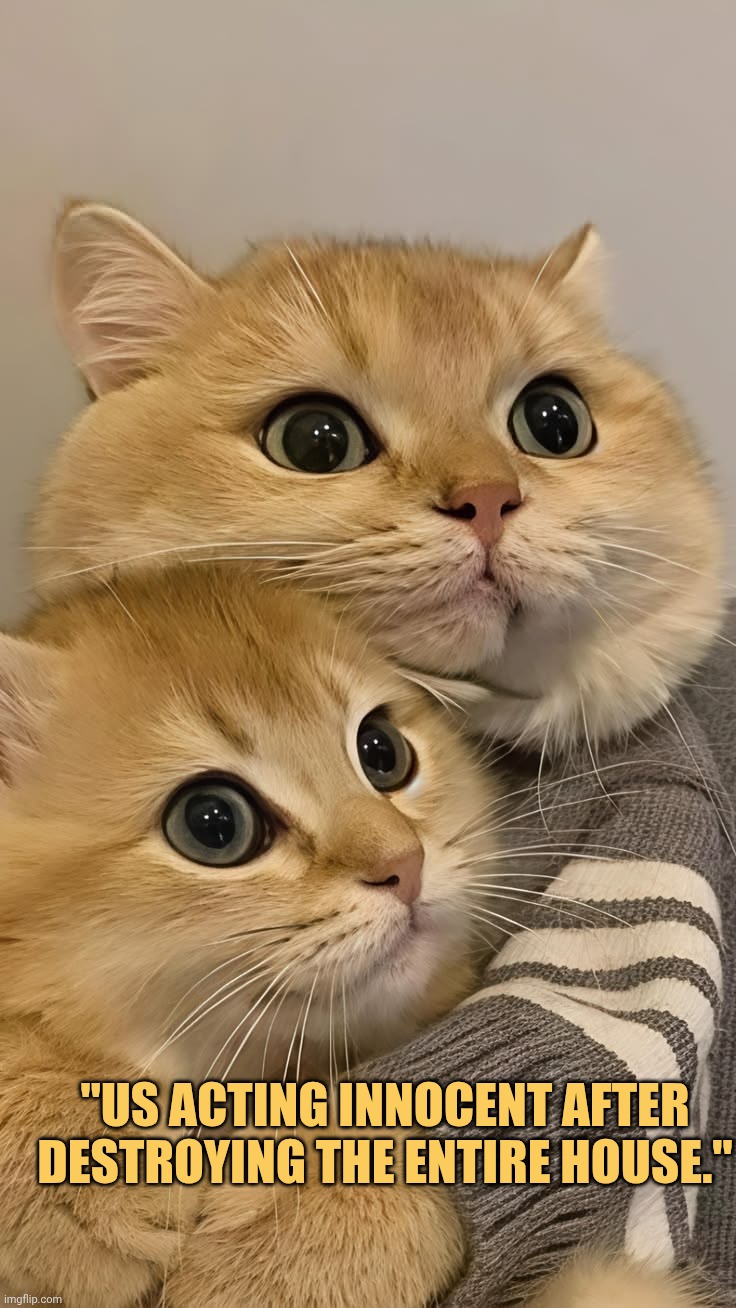 us acting all innocent so that mom wont lecture us meme