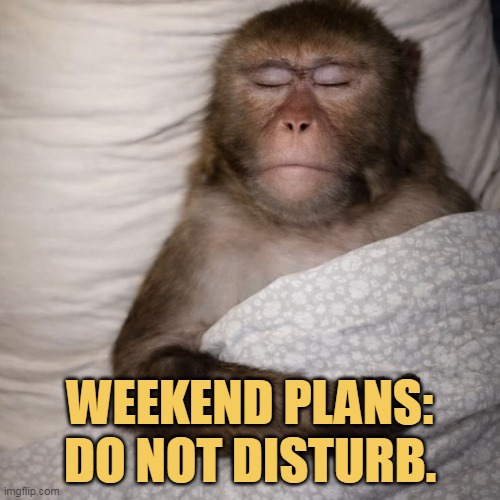 do not disturbed me