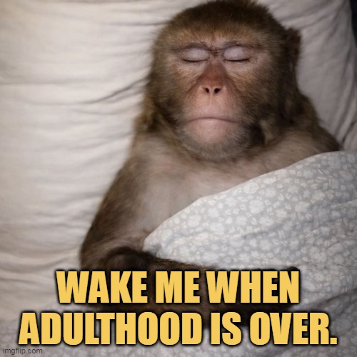 Please dont wake me up now