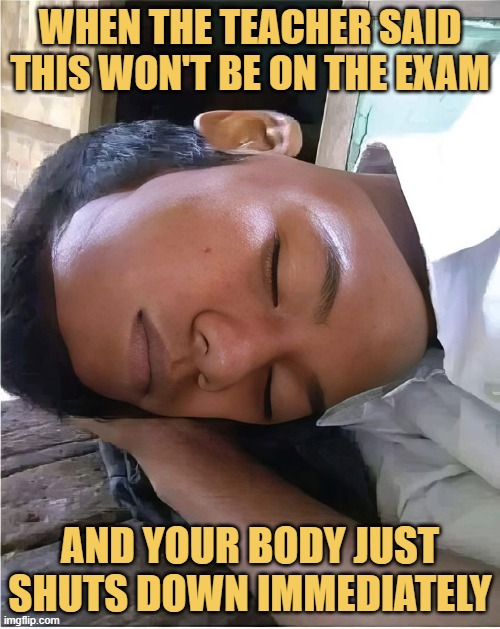 When the teacher said this won't be on the exam. meme