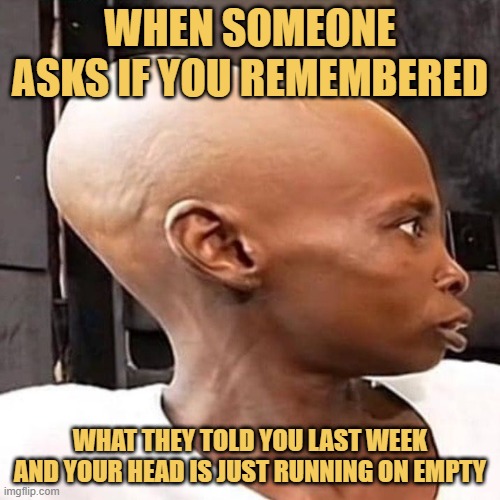what they told you last week and your head is just running on empty.