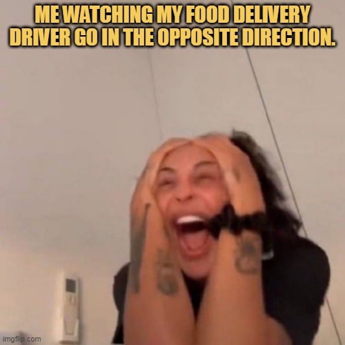 why is was going in the other direction meme
