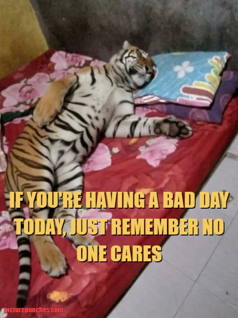 Having bad day