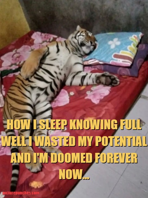Wasted my potential