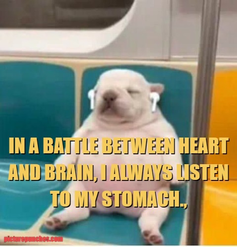 Hearts vs brain