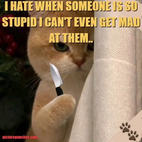 doesn't get mad