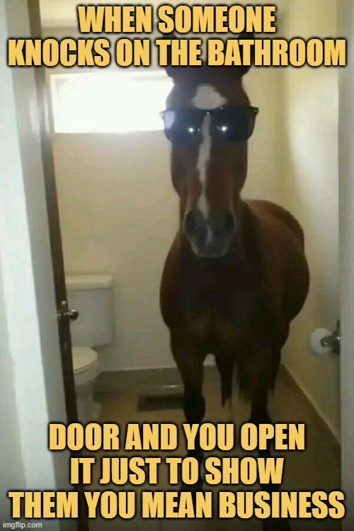 When someone knocks on the bathroom. meme