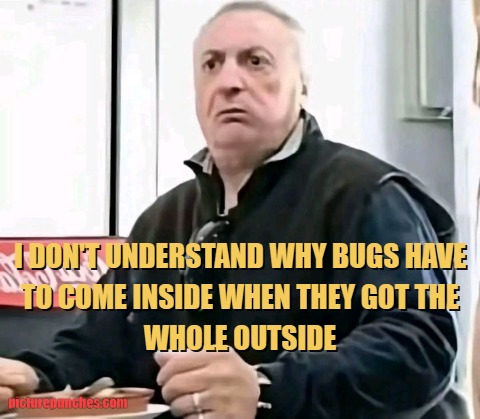 the bugs
