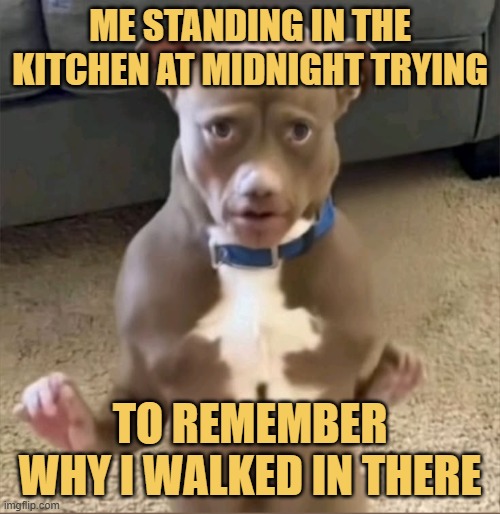 Me standing in the kitchen at midnight trying. meme