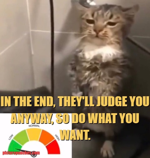 Niggas be judging