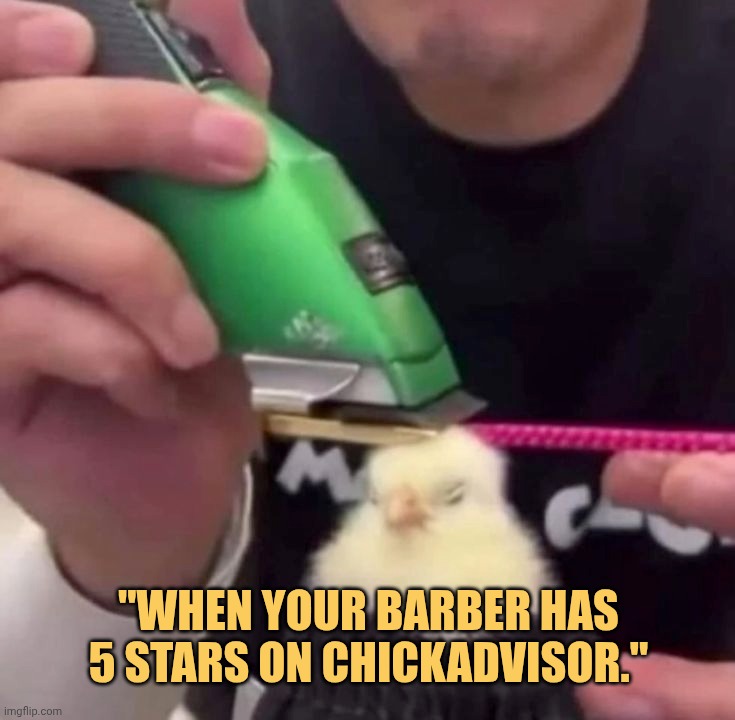 Barber had a pHD on chick advisor