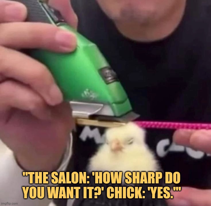 chick said  very sharp meme
