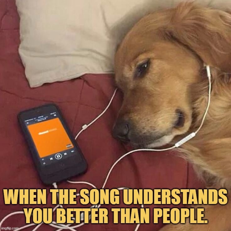 Broken dog is me