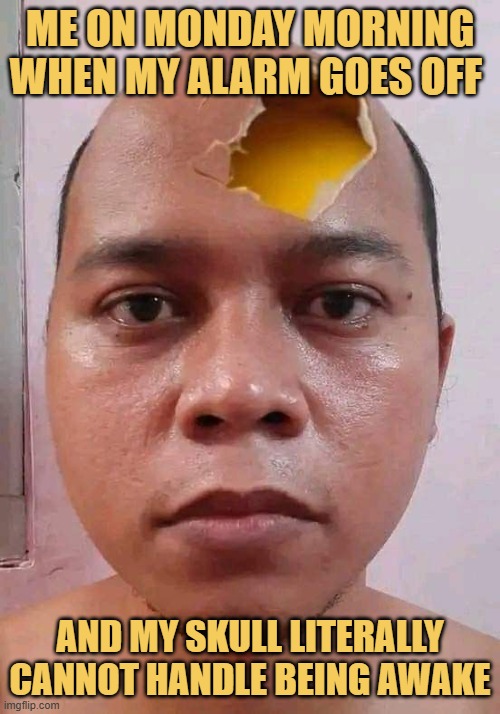 Me on Monday morning when my alarm goes off . meme