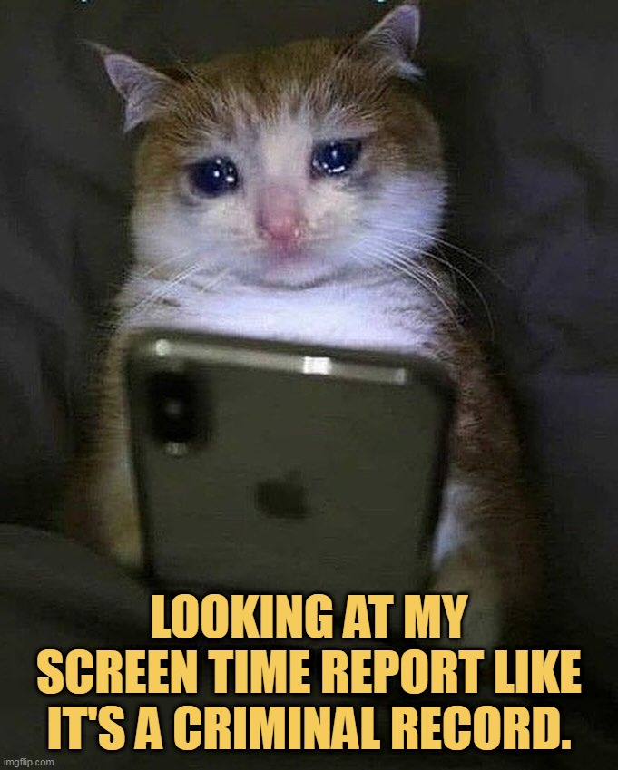 I am a criminal now