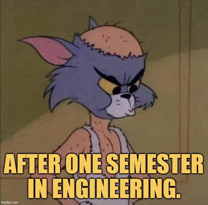 Those who study in engineering