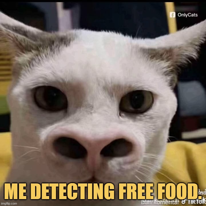 I will detect the free food by my nose
