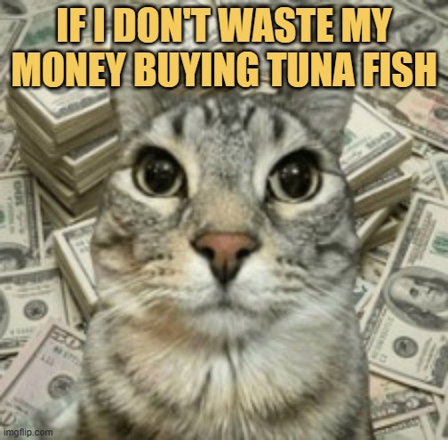 I will become a millionaire meme