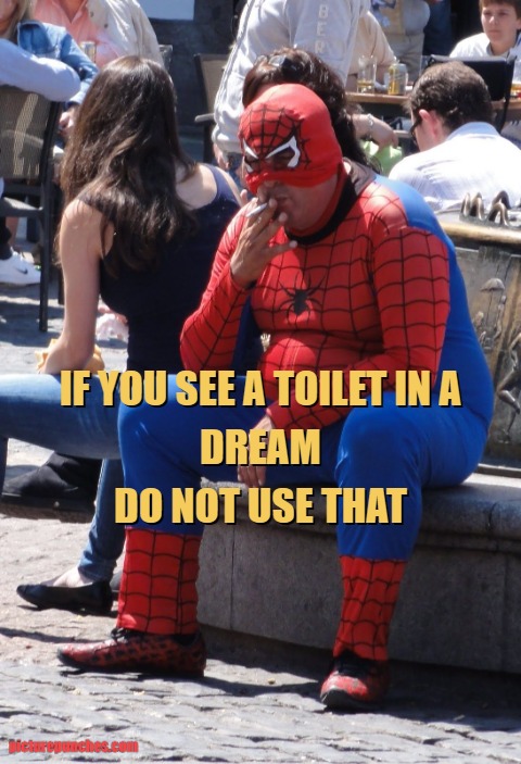 don't use the toilet of your dream