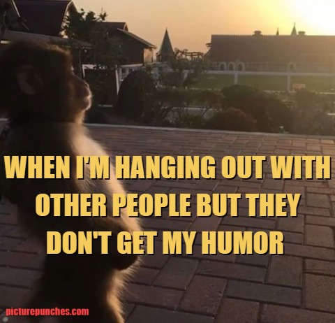 they don't get my humor meme