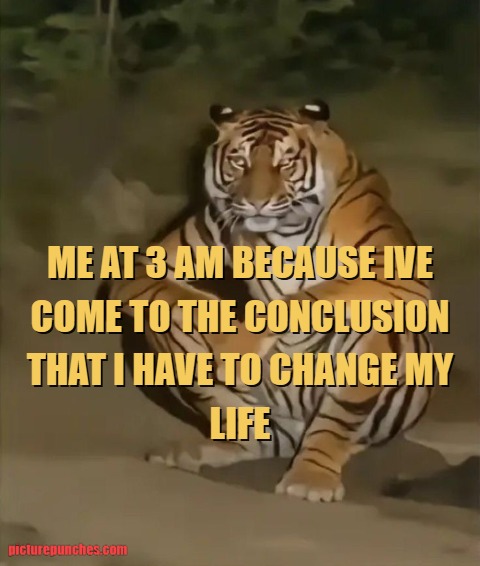 I am the tiger