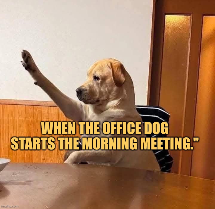 dog is the host today meme