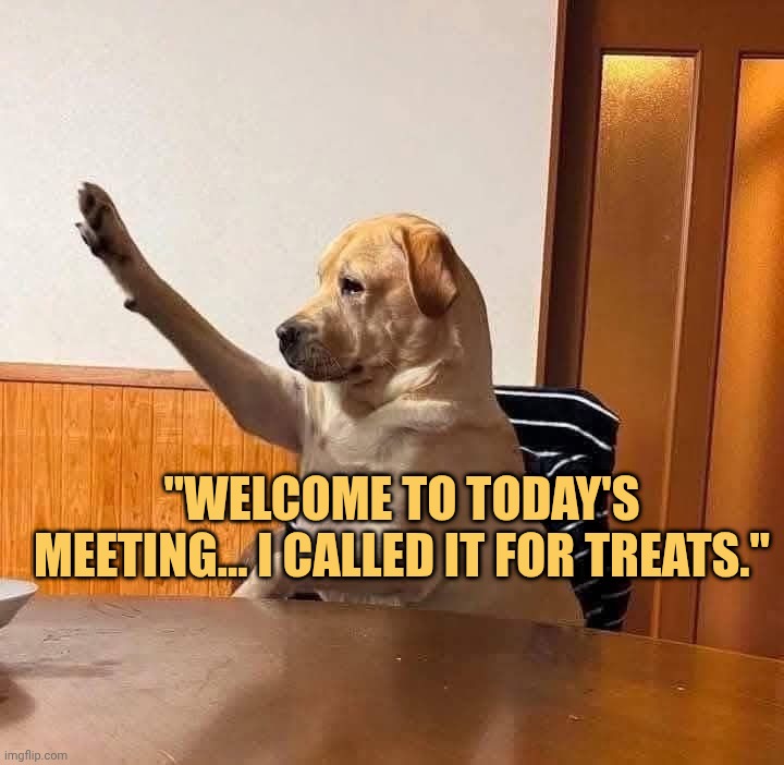 Dog calling everyone FOR treats