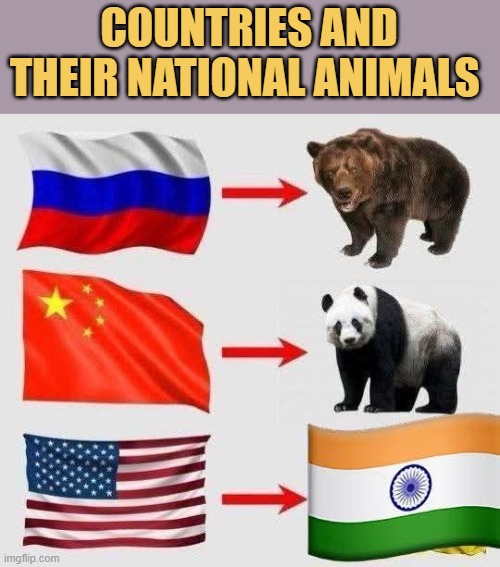 countries and their national animals 