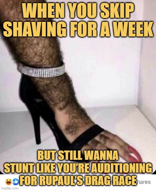 When you skip shaving for a week. meme