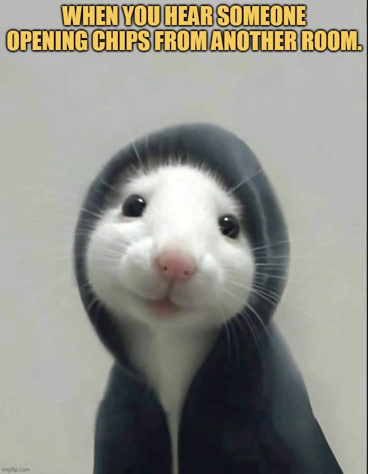 Give me a piece of chips
