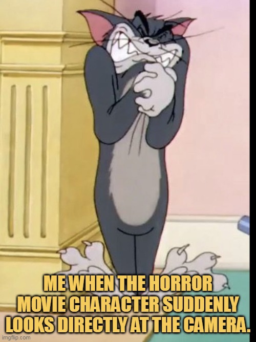 that is why i dont like horror movie meme