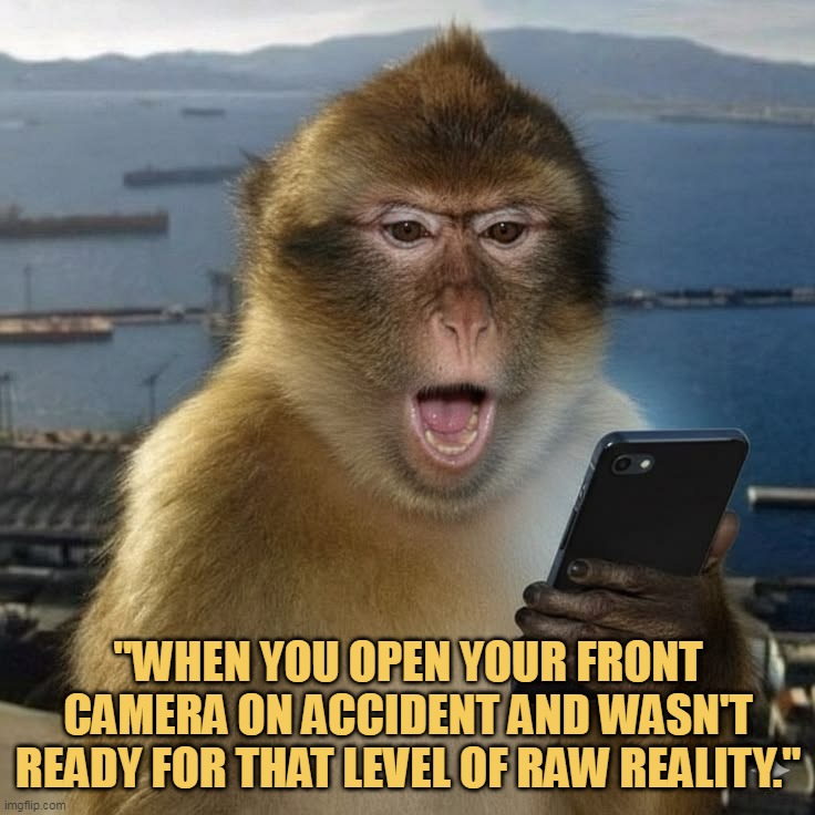 I see a monkey my self