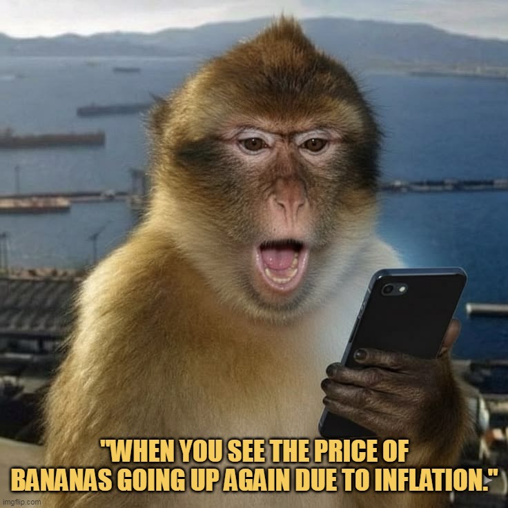 Monkey knows the price