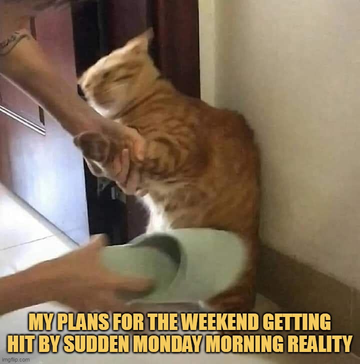 It is the plan of every monday