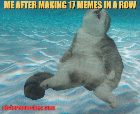 Going with the memes flow