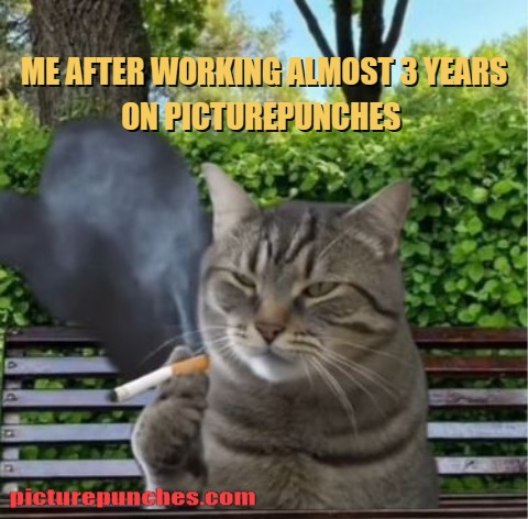 this is me now meme