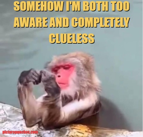 i am both meme