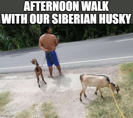 Haters will say GOATs 