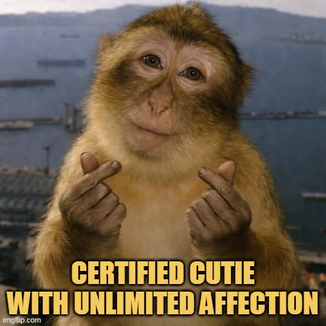 Oh Yeah It is me!