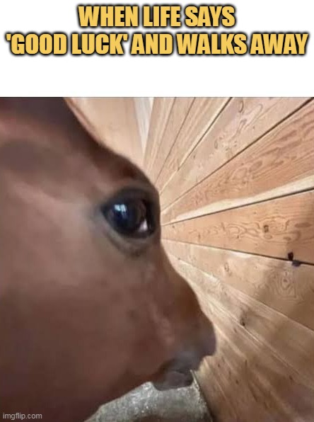 And I Wait For The Good Luck
