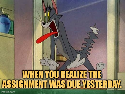 Shit the assignments due date gone